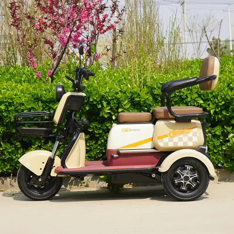 Triciclu Electric 1000w, 20ah60v fara permis Limitat 25 km/h