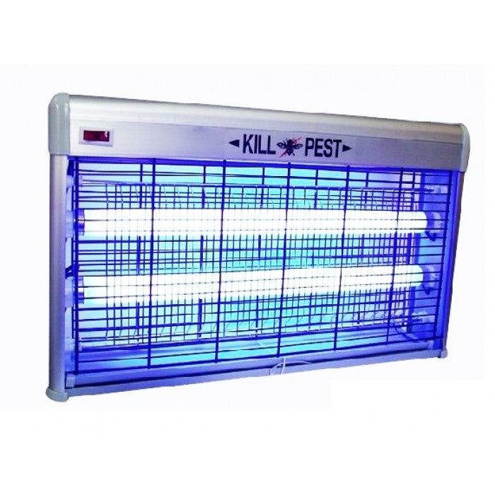 RADIATOR INSECTE