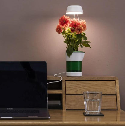 Ghiveci Inteligent cu Auto-Udare si Lumina LED pentru Plante de Interior