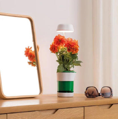 Ghiveci Inteligent cu Auto-Udare si Lumina LED pentru Plante de Interior