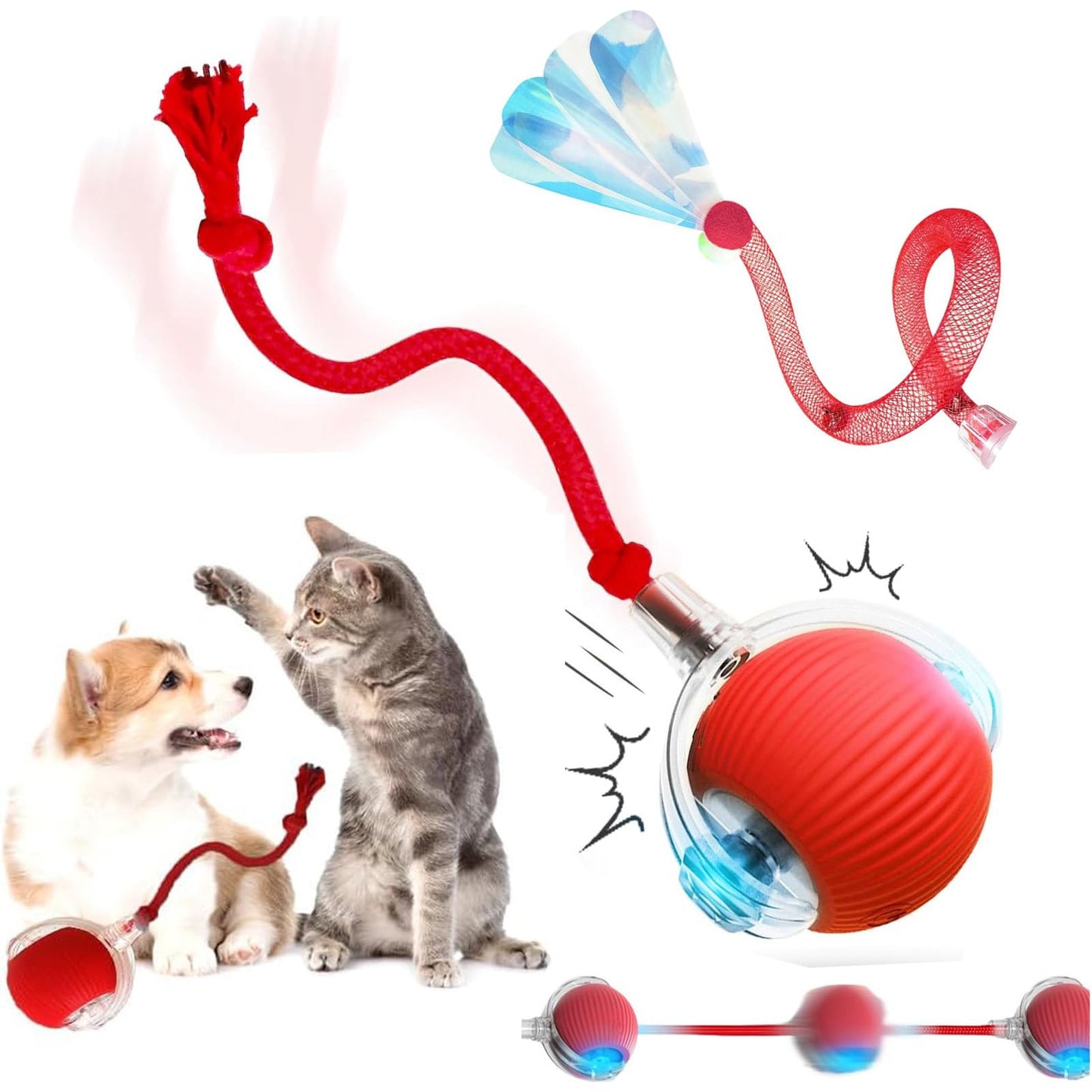 JUCARIE ANIMALE