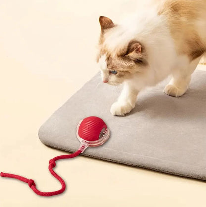 🐾 Jucărie Interactivă pentru Animale – Activare la Atingere