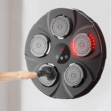 DISC DE ANTRENAMENT BOX