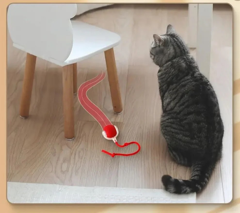 JUCARIE ANIMALE