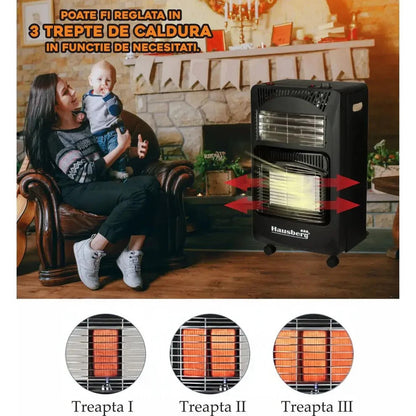 SOBA PE GAZ SI ELECTRIC