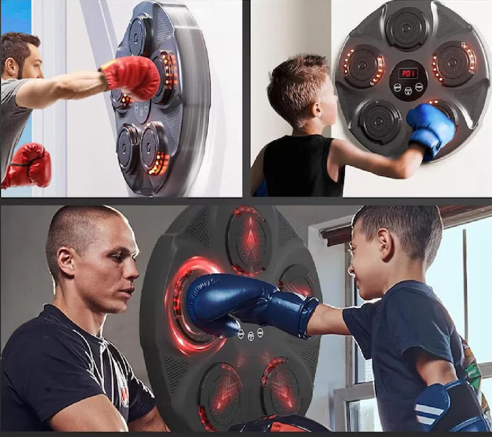 DISC DE ANTRENAMENT BOX