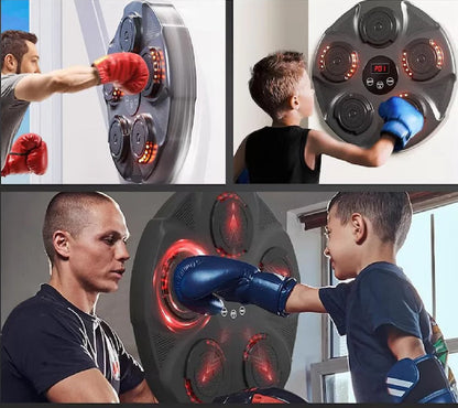 DISC DE ANTRENAMENT BOX