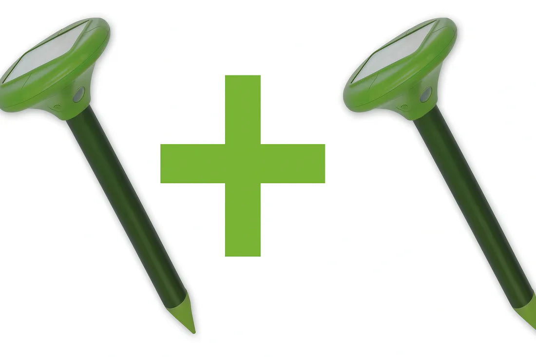 SET 1+1 APARAT ULTRASUNETE ANTI ROZATOARE