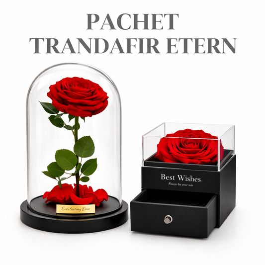 OFERTA PACHET TRANDAFIR ETERN ROSU + TRANDAFIR IN CUTIE DE BIJUTERII