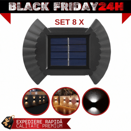 SET 8 LAMPI SOLARE IN FORMA DE SCOICA