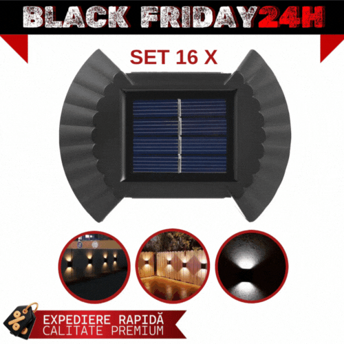 SET 16 LAMPI SOLARE IN FORMA DE SCOICA