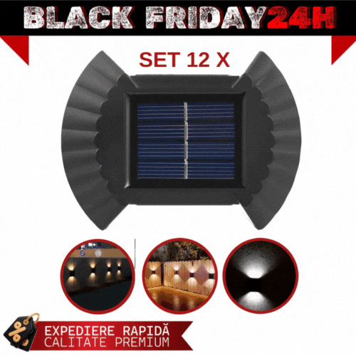 SET 12 LAMPI SOLARE IN FORMA DE SCOICA