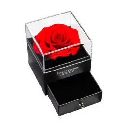 OFERTA PACHET TRANDAFIR ETERN ROSU + TRANDAFIR IN CUTIE DE BIJUTERII