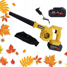 Suflanta fara Fir cu Doua de Battery de 48 V