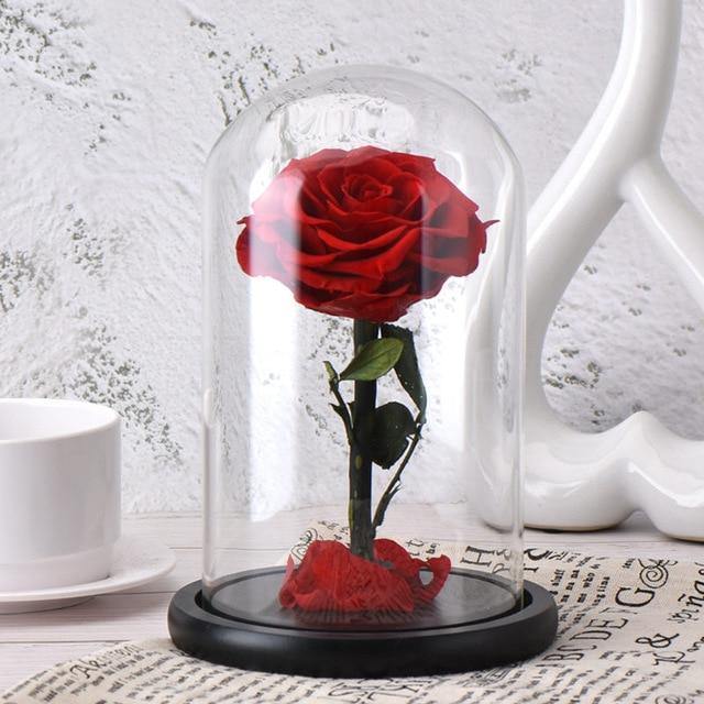 OFERTA  TRANDAFIR ETERN ROSU